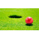 Palla Golf Nessa - cod. 4410