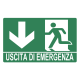 Cartello segnaletico USCITA EMERGENZA FRECCIA VERSO IN BASSO - cod. art. A01132 - cod. A01132