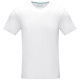 T-Shirt da uomo P37506 - cod. P37506